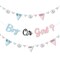 Big Dot of Happiness Baby Gender Reveal - Team Boy or Girl Party Letter Banner Decoration - 36 Banner Cutouts and Boy or Girl Banner Letters